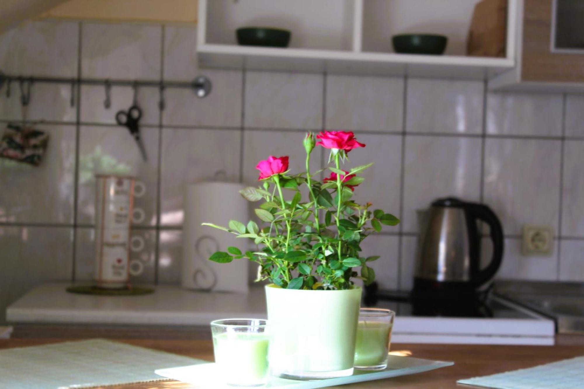 Svila Apartmani Bihać Екстериор снимка